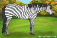 Horse Color:Smoky Blue Roan 