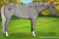 Horse Color:Silver Black 