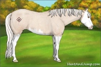 Horse Color:Silver Classic Champagne Roan Splash Varnish 