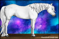 Horse Color:Gray Bay Frame 