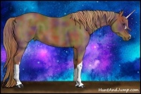 Horse Color:Nacre Chestnut 