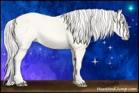 Horse Color:Silver Perlino Dun 