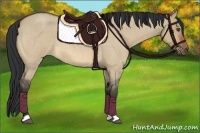 Horse Color:Bay Roan Dun 