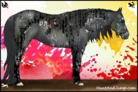 Horse Color:Black Chinchilla Tobiano  and Black Chinchilla Sabino 