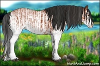 Horse Color:White Spotted Bay Splash  and White Spotted Bay Splash 