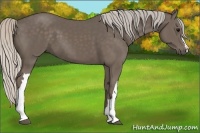 Horse Color:Silver Black 