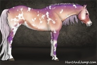 Horse Color:Watercolor White Spotted Silver Brown Onyx 
