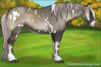 Horse Color:White Spotted Silver Blue Onyx 