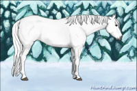 Horse Color:Gray Bay Dun