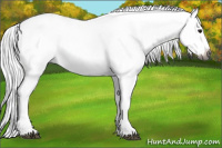 Horse Color:Gray Watercolor Bay Dun Splash 