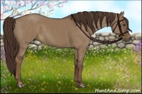 Horse Color:Liver Red Dun 