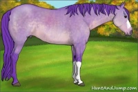 Horse Color:Watercolor Buckskin Dun 