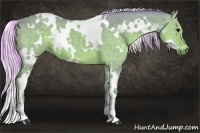 Horse Color:Watercolor White Spotted Silver Black 