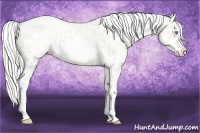 Horse Color:Cremello Near Leopard  and Cremello Near Leopard 