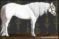 Horse Color:Liver Chestnut Frame Appaloosa 