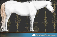 Horse Color:Brown Roan Pearl Appaloosa Rabicano 