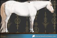 Horse Color:Brown Roan Pearl Varnish Rabicano 