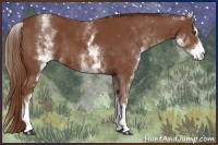 Horse Color:White Spotted Chestnut Sabino