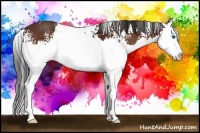 Horse Color:White Spotted Bay Splash