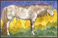 Horse Color:White Spotted Liver Chestnut Pearl Sabino Rabicano
