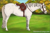 Horse Color:Perlino Roan