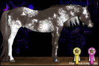 Horse Color:White Spotted Liver Chestnut Rabicano 