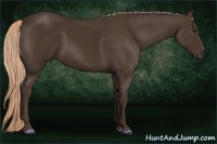 Horse Color:Liver Chestnut Rabicano 