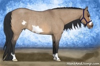 Horse Color:Bay Roan Dun Frame Rabicano