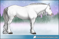 Horse Color:Brown Onyx Mushroom Appaloosa 