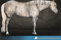 Horse Color:Liver Chestnut Snowdrop Pearl Tobiano and Chestnut Snowdrop Pearl Sabino