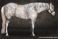 Horse Color:Liver Chestnut Pearl Tobiano  and Chestnut Pearl Sabino 