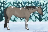 Horse Color:Smoky Grullo Tobiano