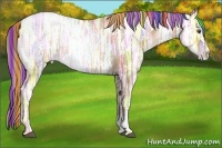 Horse Color:Painted Liver Chestnut Ice Pearl Rabicano 