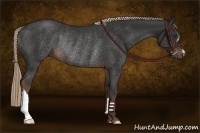Horse Color:Liver Chestnut Rabicano