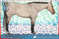 Horse Color:Brown Roan Dun Rabicano Brindle 