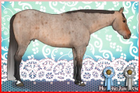 Horse Color:Brown Roan Dun Rabicano Brindle