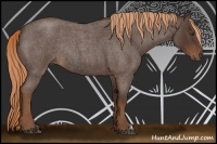 Horse Color:Liver Red Roan Rabicano