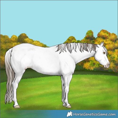 Horse Color:White Spotted Classic Cream Champagne Ice Splash 