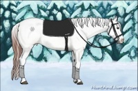 Horse Color:White Spotted Grullo Splash Tobiano Frame Appaloosa Rabicano