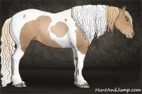 Horse Color:Liver Chestnut Pearl Tobiano Rabicano 