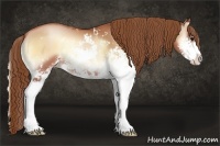 Horse Color:Brown Pearl Onyx Sabino 