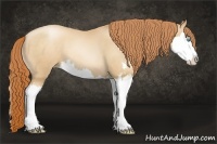 Horse Color:Amber Champagne Pearl Sabino Splash 