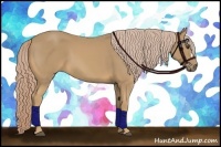 Horse Color:Palomino 
