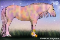 Horse Color:Nacre Watercolor Buckskin Sabino Rabicano