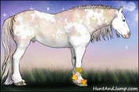 Horse Color:Nacre White Spotted Silver Bay Ice Dun Sabino Splash