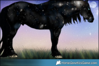 Horse Color:ERROR: UNKNOWN ANOMALY