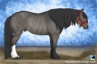 Horse Color:Black Rabicano 