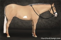 Horse Color:Silver Amber Champagne Frame 