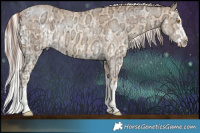 Horse Color:White Spotted Chocolate Amber Champagne Ice  and Chocolate Silver Sable Cream Champagne Ice Splash 