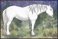 Horse Color:Palomino Splash Tobiano Appaloosa